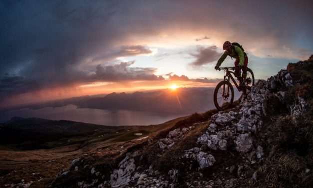 Flat Sales, Rosy Outlook At Fox Factory’s Bicycle Segment