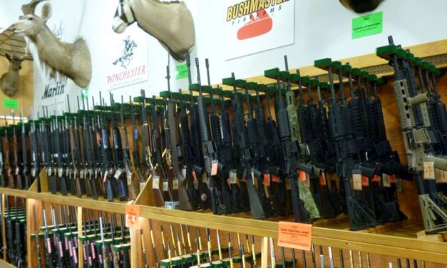 Can Sportsman’s Warehouse Sustain Firearms Growth?