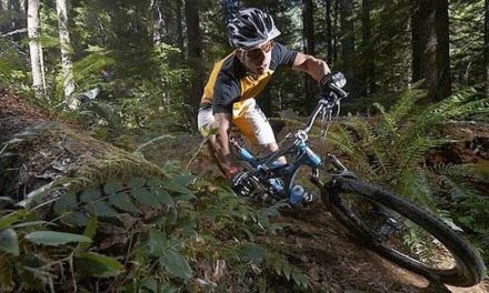 Early Summer Insights: Hottest Selling Bike Trends Across the U.S.