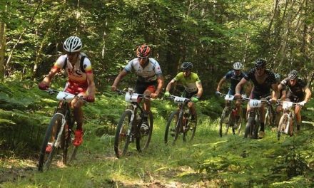 Will Oval Chainrings Become The New Norm?