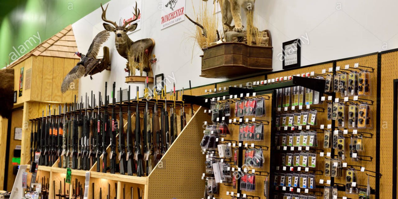 sportsmans warehouse garmin
