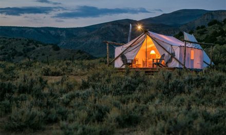Collective Retreats Is Much More Than A Place To Sleep