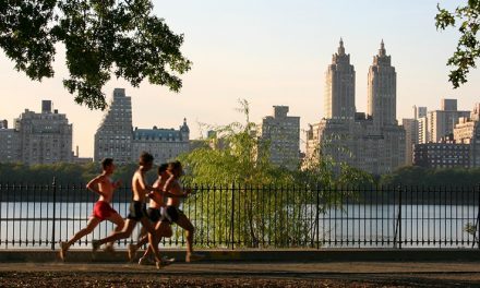 Living Healthy In The City