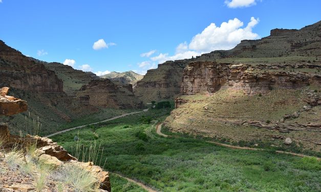 Trump Deals Body Blow To Utah’s Public Lands