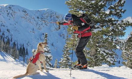 Ruffwear: Making A Difference In The Lives Of Dogs