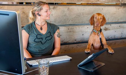 Ruffwear… Creativity Through Community