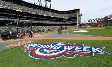 Baseball Is Back!