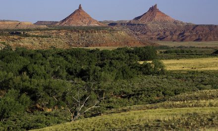 This Land Is Our Land … Patagonia v. President Trump