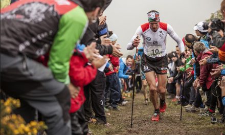 Sports Travel … Spring International Marathons