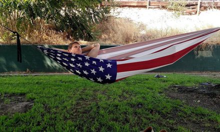 Curated Picks … Fourth Of July Week