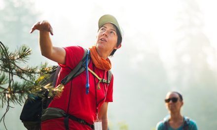 In Pursuit Of The Great Outdoors … Series Wrapup