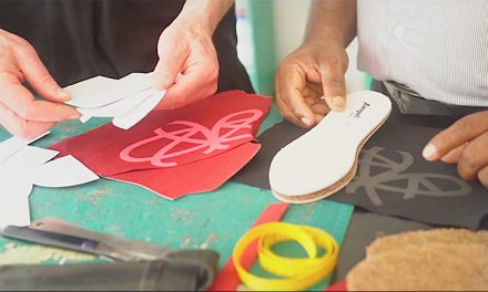 Live Sustainably With Po-Zu … Promoting A Greener Way Of Living