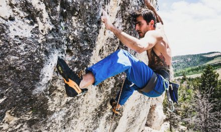 Scarpa … 2019 Key Drivers + Long-Term Trajectories
