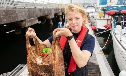 Do Biodegradable Plastics Reduce Ocean Pollution?