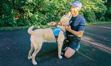 Running Down A Dream With Ruffwear’s UniFly Harness