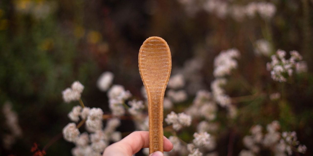 TwentyFifty Offers First Truly Compostable Alternative To Single-Use Plastic Spoons