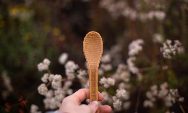 TwentyFifty Offers First Truly Compostable Alternative To Single-Use Plastic Spoons