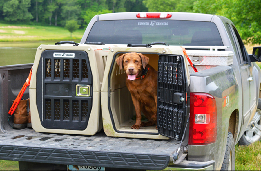 Large gunner outlet kennel