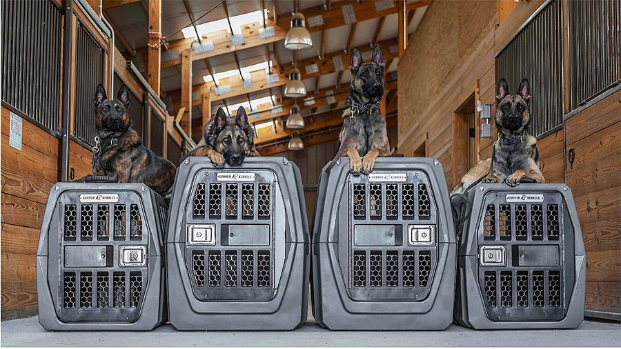 Gunner store dog crate