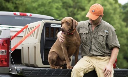 Gunner, The Dog That Changed My Life