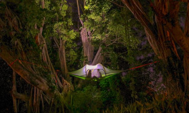 Tentsile Commits To Climate Neutral