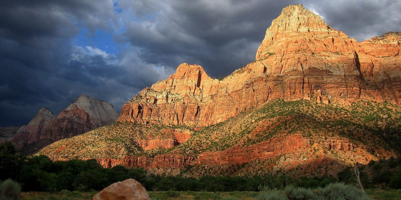 Zion National Park Forever Project Releases Centennial Edition Of Field Guide