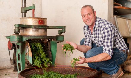 Interview With Cusa Tea Founder, Jim Lamancusa