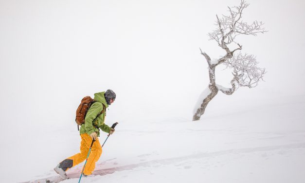 Stio Announces Partnership With Gore-Tex For Fall-Winter 2020 Collection
