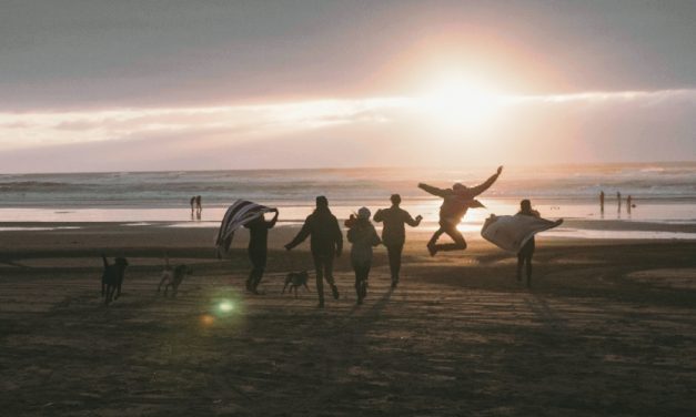 Adventure Responsibly with LOGE Camps’ Sustainable Travel Program