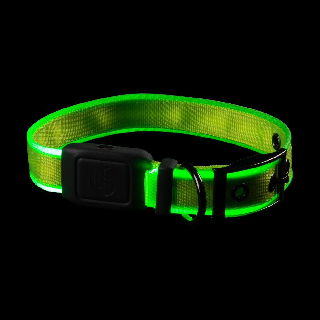 NiteDog Recharge. LED Dog Collar