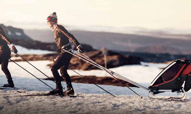 Global Strength Helps Thule Overcome U.S. Challenges