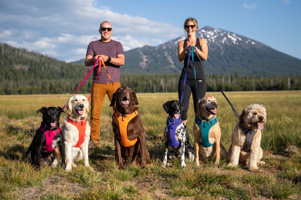 Ruffwear Introduces New Spring 2020 Product Line SGB Media Online