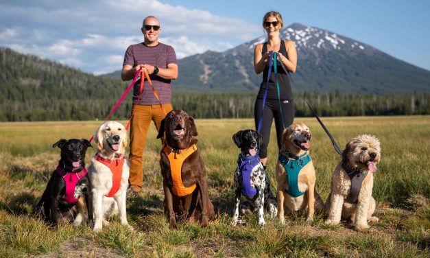 Ruffwear Introduces New Spring 2020 Product Line