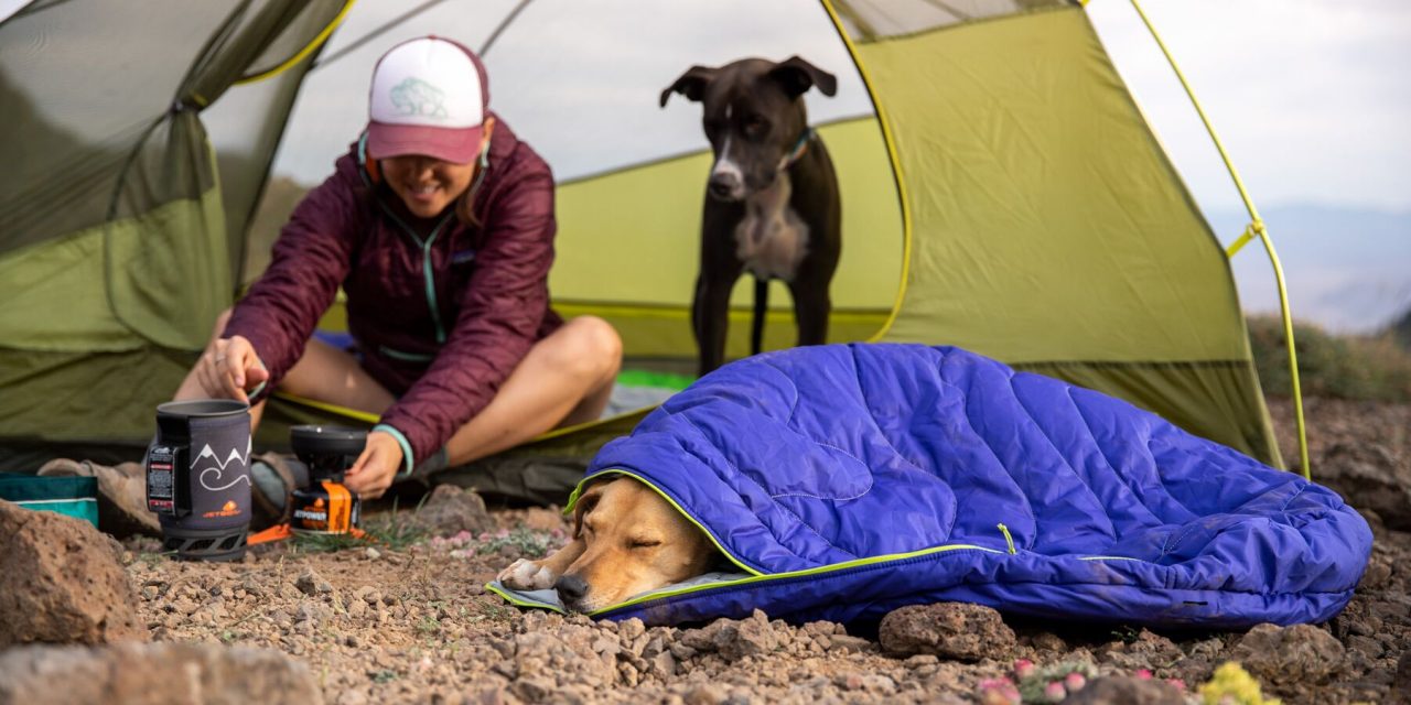 Ruffwear Summer 2020 Product Line Now Available