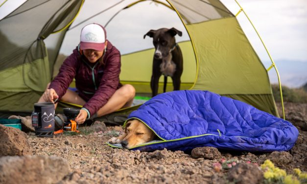 Ruffwear Summer 2020 Product Line Now Available
