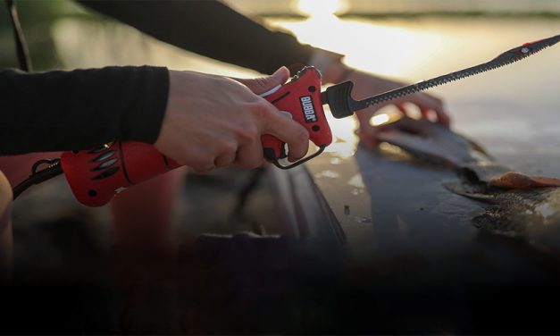 Inside The Call: American Outdoor Brands Shakes Off E-Comm Decline In Fiscal Q1 To Post Strong Gains