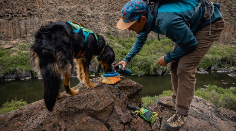 Ruffwear Releases Limited-Edition Meadow Stream Collection