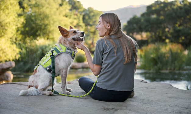 Backcountry Teams Up With Petco For Outdoor Pet Gear Collection