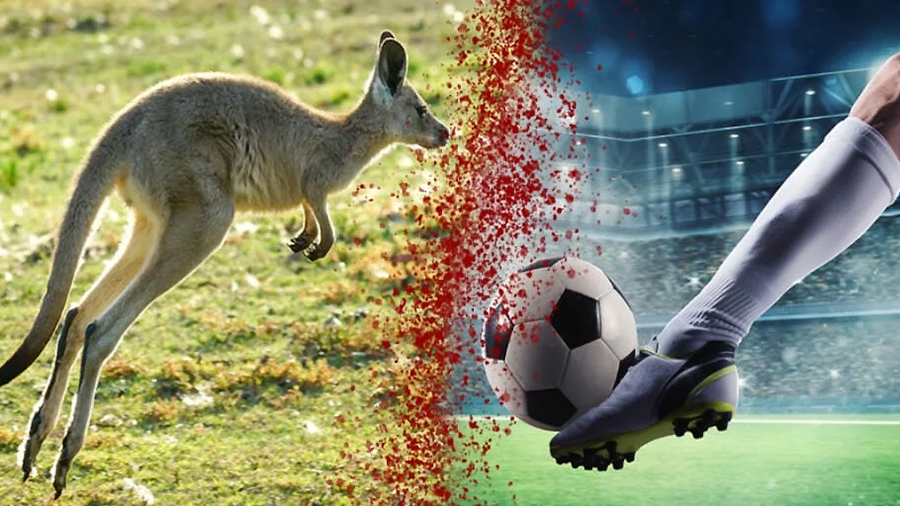 Nike To Stop Using Kangaroo Leather In Soccer Cleats