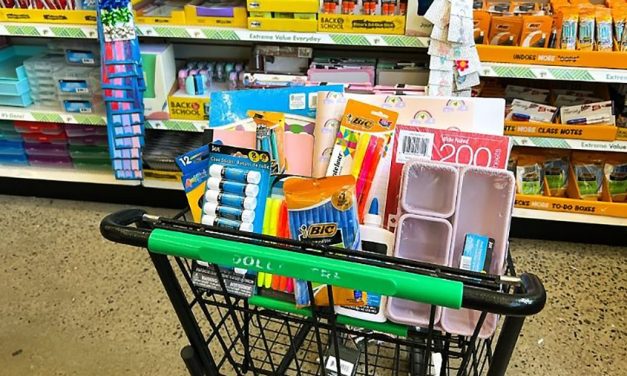 EXEC: New Study Sees Walmart, Dollar Stores, Off-Pricers as BTS Winners