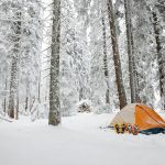 KOA Sees Jump in Fall and Winter Camping