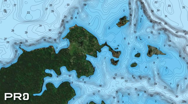 Navionics cartography in the Omnia Fishing app